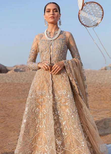 Amiraa by Reign Embroidered Net Suits Unstitched 3 Piece RGN21AM RN-13 IBIZIAH-A - Luxury Collection