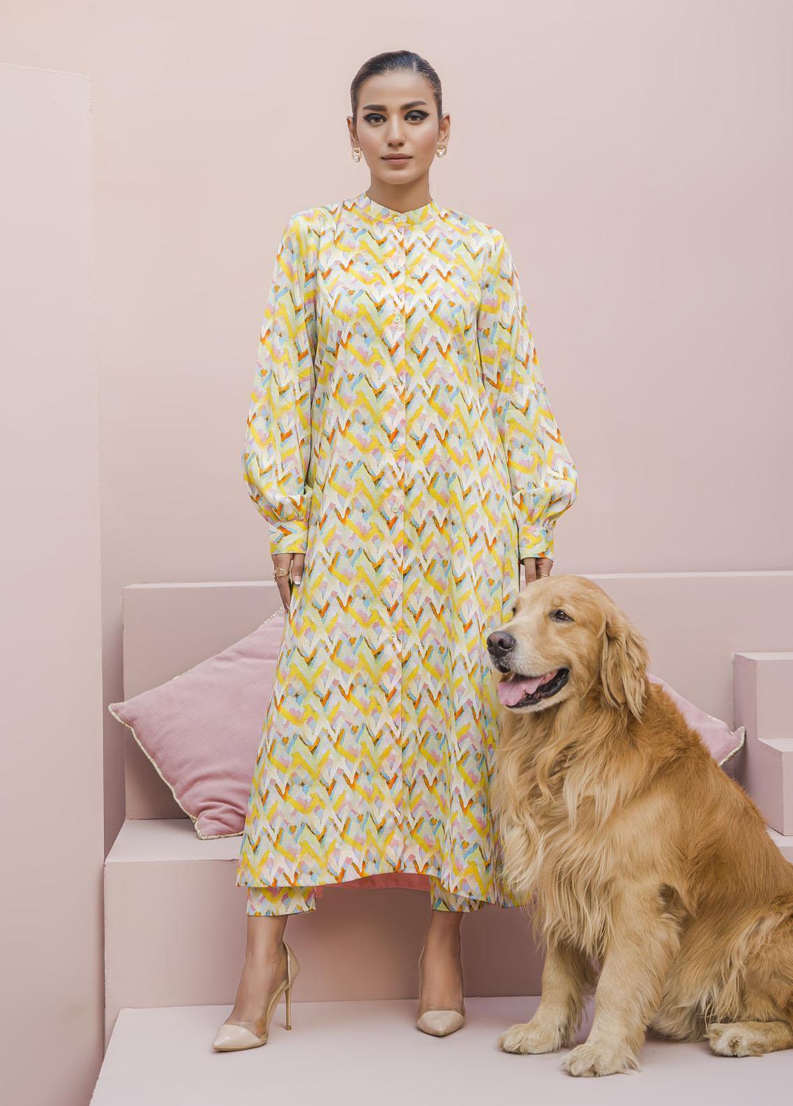 Hana Luxury Pret Embroidered Raw Silk 2 Piece Dress Tiffany