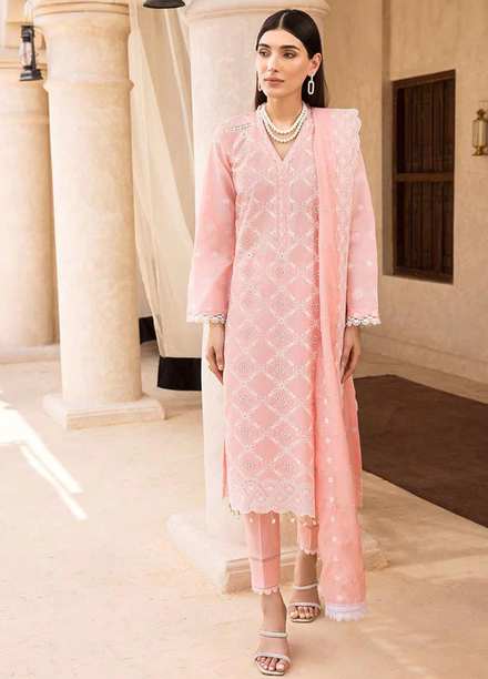 Nissa By RajBari Embroidered Chikankari Schiffli Suits Unstitched 3 Piece RB23NSC D-04 - Summer Collection