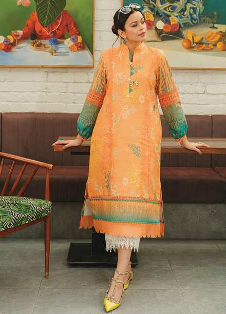 Rang Rasiya Printed Lawn  Unstitched Kurti RR23T 03 Rose Mary - Summer Collection