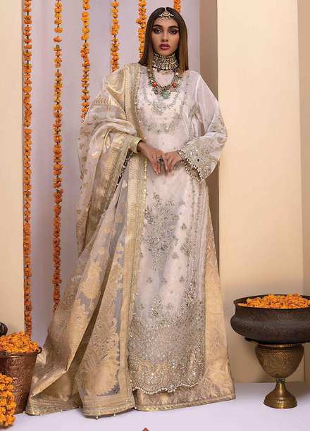 Heritage Collectables By Rang Rasiya Embroidered Net Suits Unstitched 3 Piece RR-FH-21-D3 Nauratan - Wedding Collection