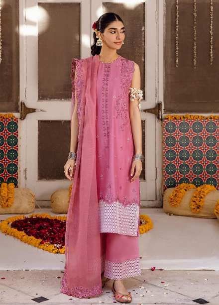 Raqs By Ayzel Embroidered Lawn Suits Unstitched 3 Piece AAF23R 008 Kashish - Festive Collection