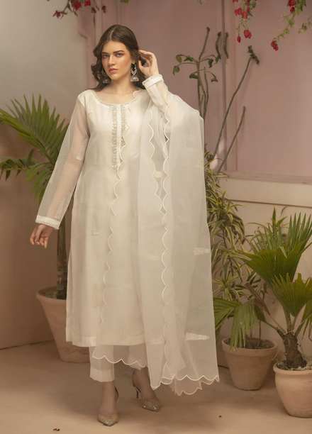 Zebaqi Luxury Pret  Organza 3 Piece Dress Mukh