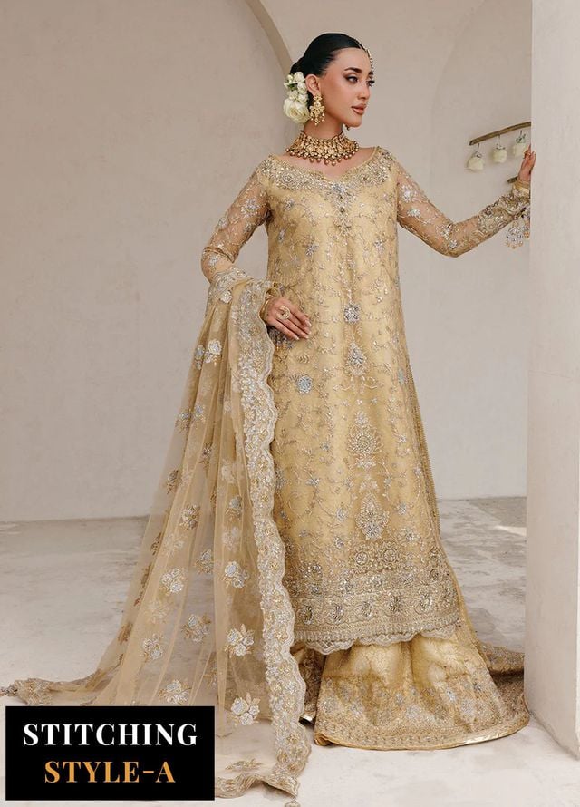 Aik Atelier Embroidered Net Suits Unstitched 3 Piece AIK25WU D-06 - Formals Collection