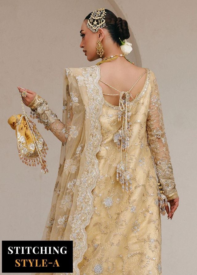 Aik Atelier Embroidered Net Suits Unstitched 3 Piece AIK25WU D-06 - Formals Collection