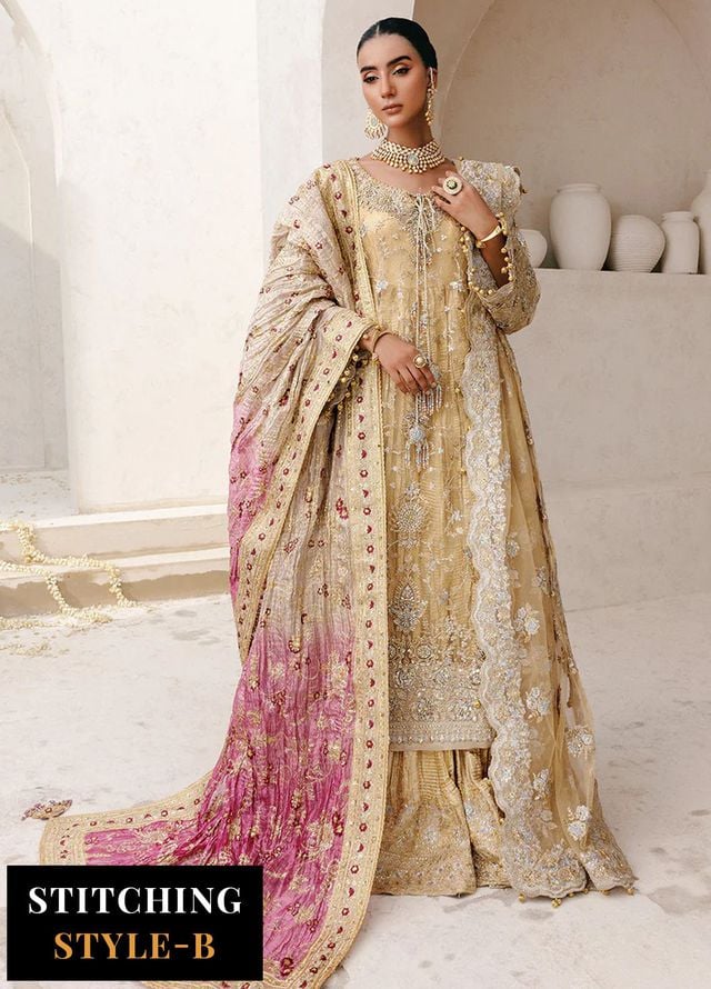 Aik Atelier Embroidered Net Suits Unstitched 3 Piece AIK25WU D-06 - Formals Collection