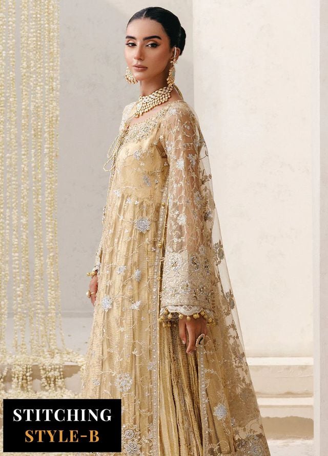 Aik Atelier Embroidered Net Suits Unstitched 3 Piece AIK25WU D-06 - Formals Collection