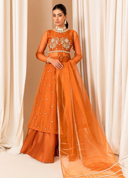 Allure by IH Pret Embroidered Organza 3 Piece Suit Coco