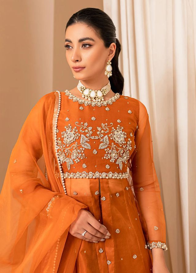 Allure by IH Pret Embroidered Organza 3 Piece Suit Coco