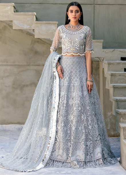 Belle Robe by Emaan Adeel Embroidered Net Suits Unstitched 3 Piece EA22-BR4 BL-405 - Luxury Collection