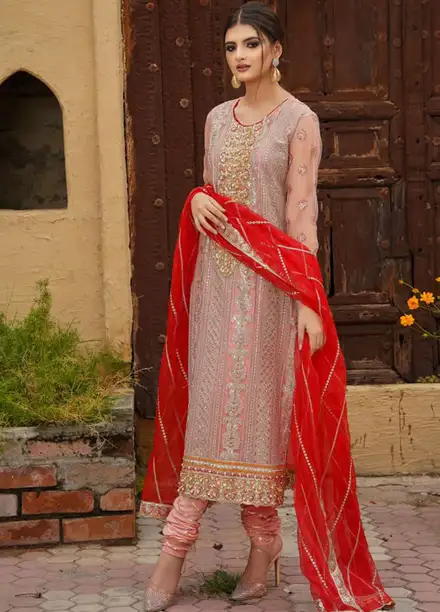 Dhanak By Ayat Pret Embroidered Net 3 Piece Suit Yashni