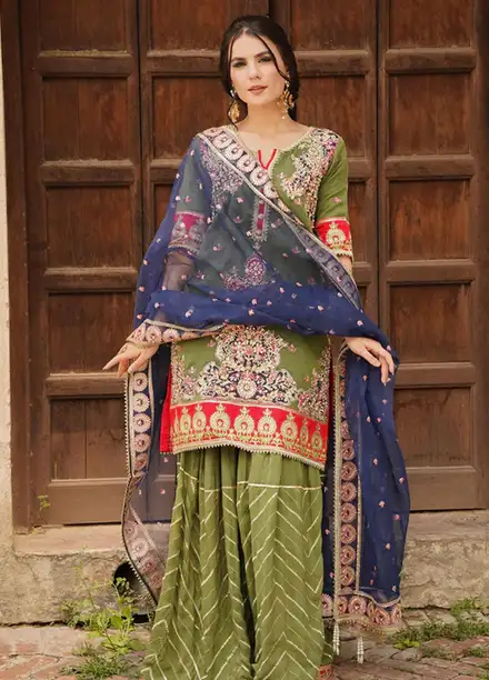 Dhanak By Ayat Pret Embroidered Net 3 Piece Suit Zaitoon