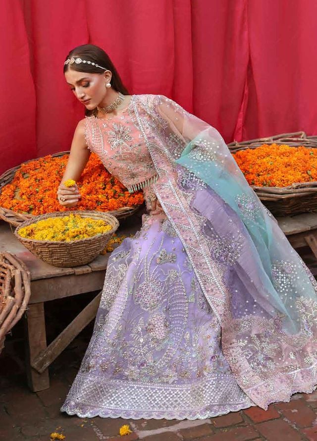 Jhoomro by Nureh Embroidered Organza Suits Unstitched 4 Piece NU25JF NL-81 B - Formals Collection