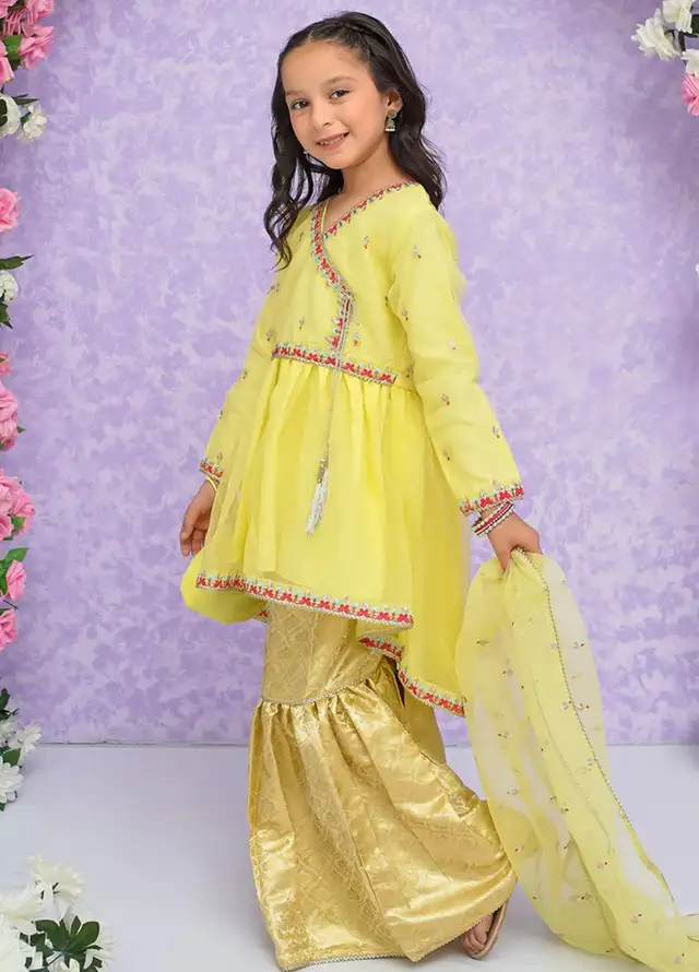 Modest Pret Embroidered Organza 3 Piece Suit Mehjabeen