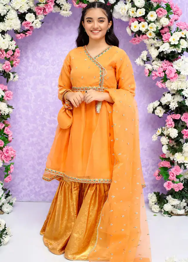 Modest Pret Embroidered Organza 3 Piece Suit Naimal