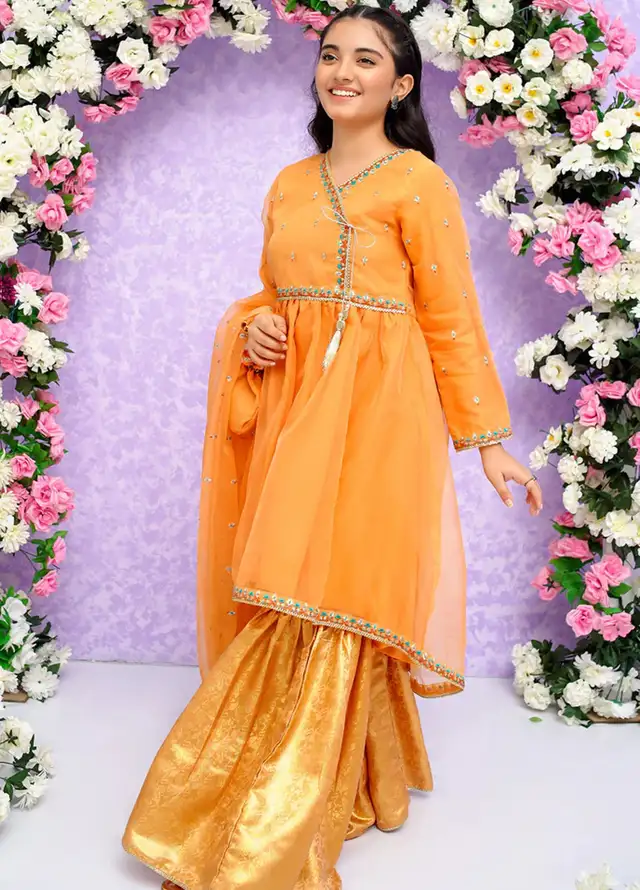 Modest Pret Embroidered Organza 3 Piece Suit Naimal