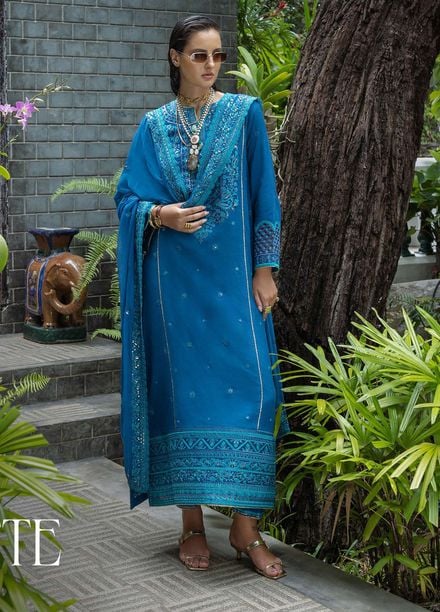 Nuvera by Mushq Hemline Embroidered Raw Silk Suits Unstitched 3 Piece MQ25NF D-08 Marisette - Festive Collection