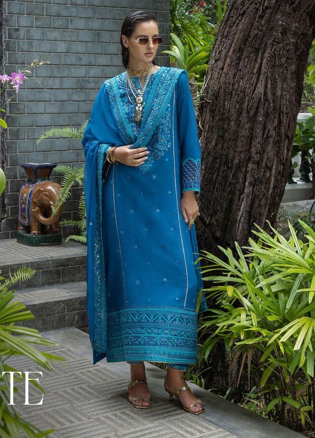 Nuvera by Mushq Hemline Embroidered Raw Silk Suits Unstitched 3 Piece MQ25NF D-08 Marisette - Festive Collection