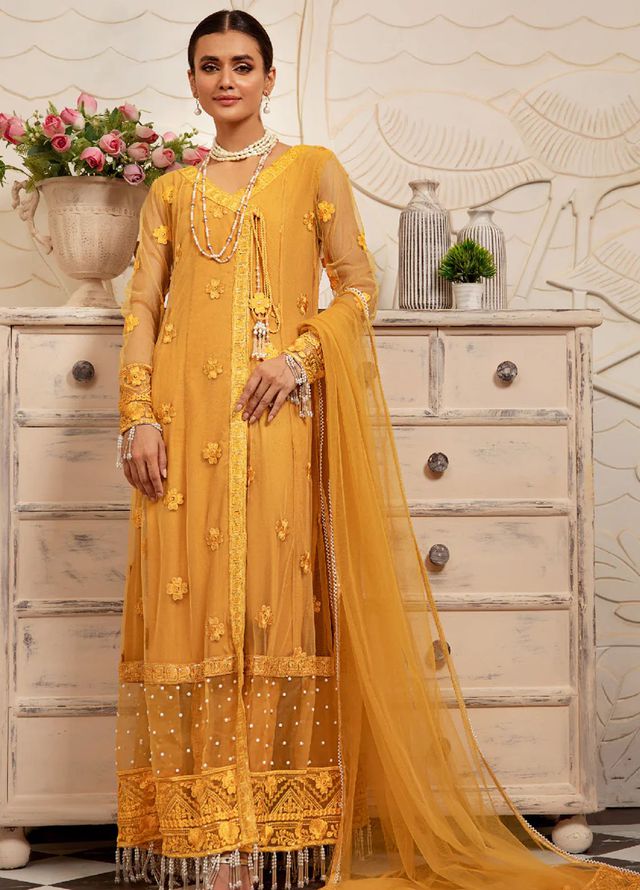 Pashmire Pret Embroidered Net 3 Piece Suit Zarnish