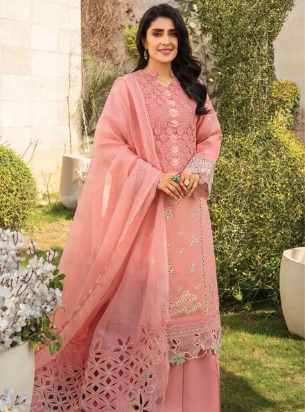 Rang Rasiya Embroidered Lawn Suits Unstitched 3 Piece RR24PE D-07 Parisa - Summer Eid Collection