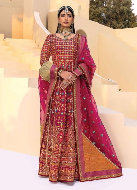 Heritage Collectables By Rang Rasiya Embroidered Organza Suits Unstitched 3 Piece RR21WD 5 Dhruv - Wedding Collection