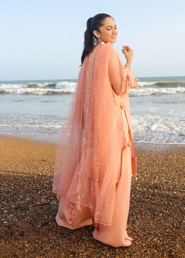 Salitex Embroidered Lawn Suits Unstitched 3 Piece SUNS7ALM067UT - Summer Collection