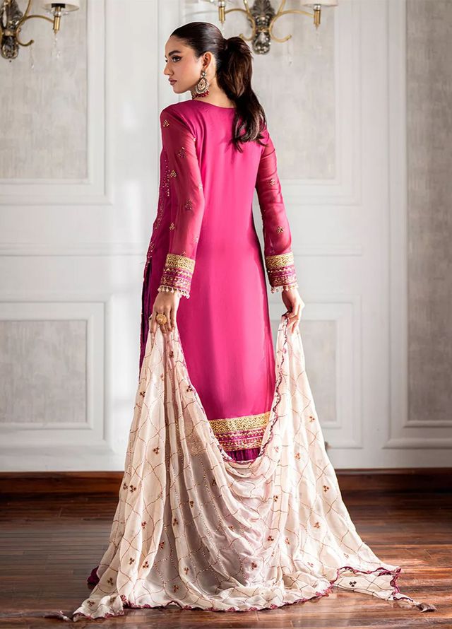 Salitex Embroidered Lawn Suits Unstitched 3 Piece SUNS7CH056UT - Summer Collection