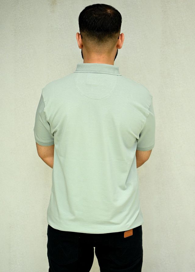 Sanaulla Exclusive Casual Cotton Polo D-3051 Light Green