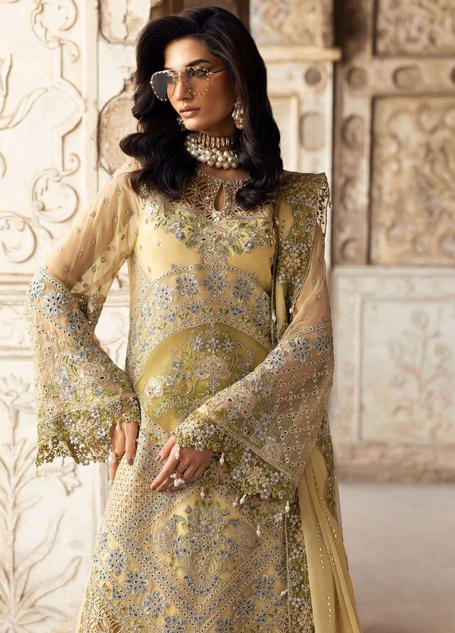 Sardinia Embroidered Chiffon Suits Unstitched 3 Piece SRD25CF D-1101 Haseena - Formals Collection