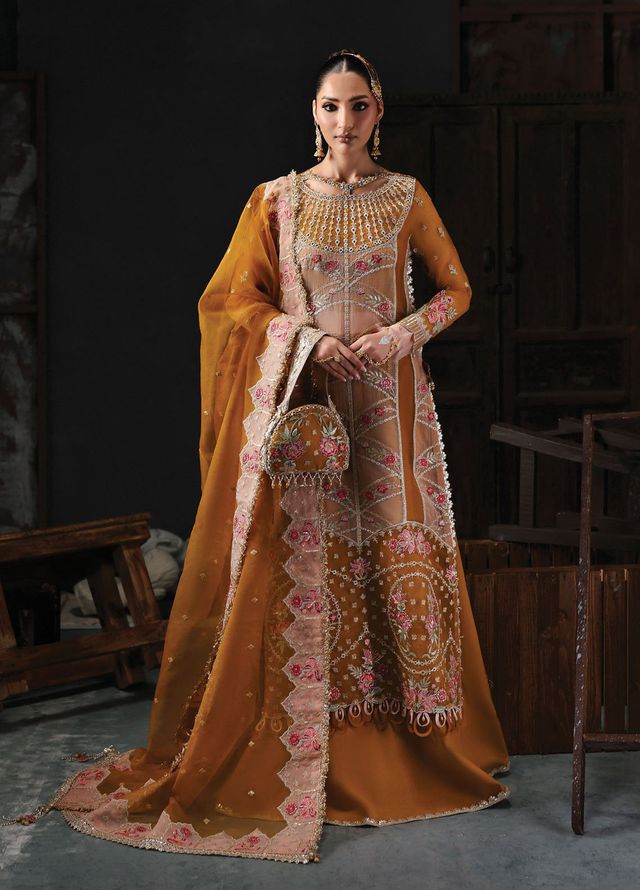 Sardinia Embroidered Organza Suits Unstitched 3 Piece D-1203 Elena - Formals Collection