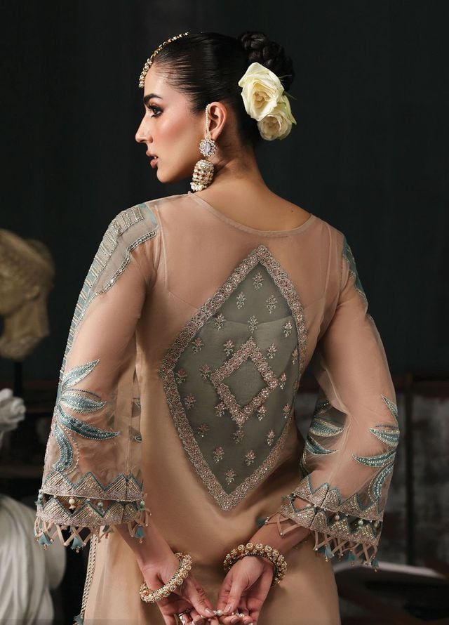 Sardinia Embroidered Organza Suits Unstitched 3 Piece D-1204 Nova - Formals Collection