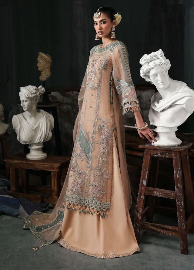 Sardinia Embroidered Organza Suits Unstitched 3 Piece D-1204 Nova - Formals Collection