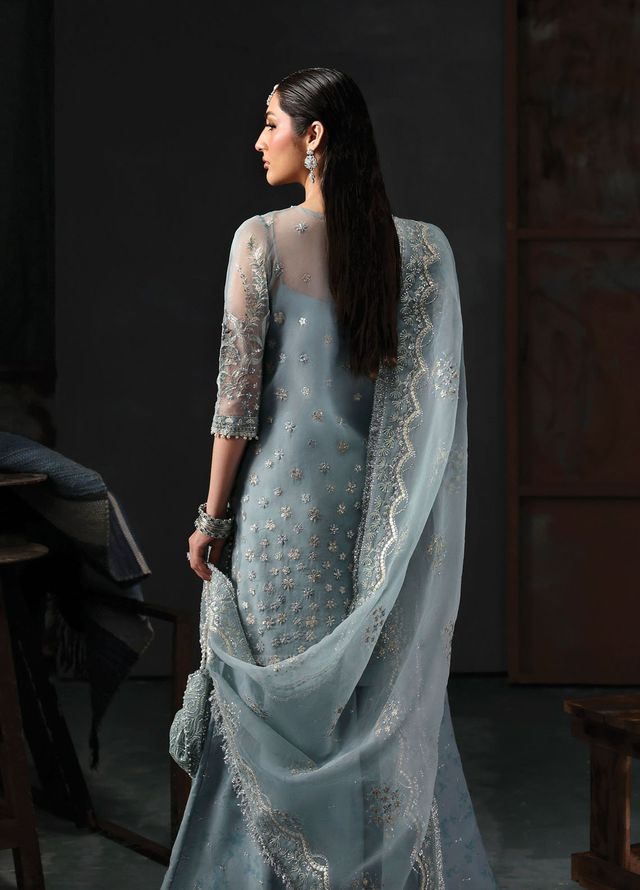 Sardinia Embroidered Organza Suits Unstitched 3 Piece D-1208 Zephyr - Formals Collection