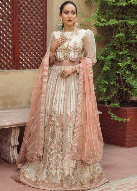 Alizeh Fashion by Bilal Embroidery Embroidered Net Suits Unstitched 3 Piece AFB21SH 01-ZEVAR - Festive Collection