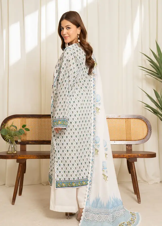 Sule by Coco Zara Shahjahan Printed Lawn Unstitched Suits 3 Piece CZS25SL D-03 - Summer Collection