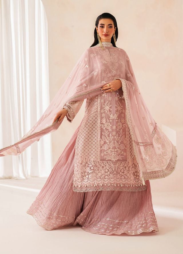 Xenia Embroidered Chiffon Suits Unstitched 3 Piece XE25NU D-02 Anira - Formals Collection